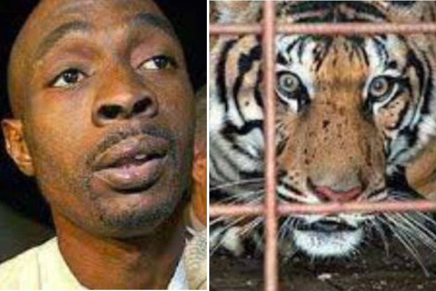 Antoine Yates hailed the 'real Tiger King' after raising a tiger