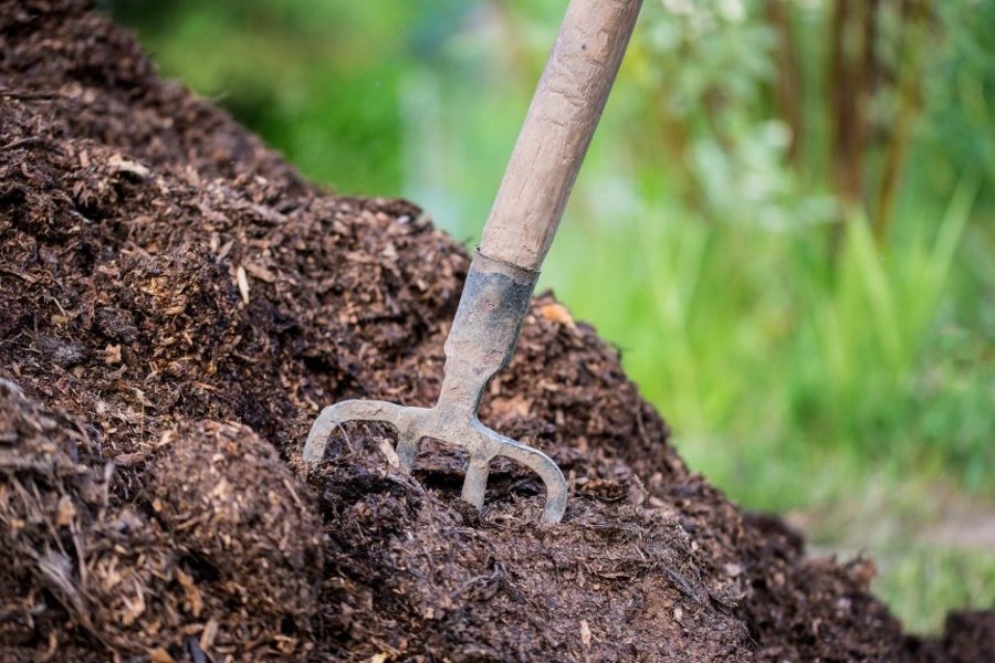 Why Should You Take Bat Guano Seriously?