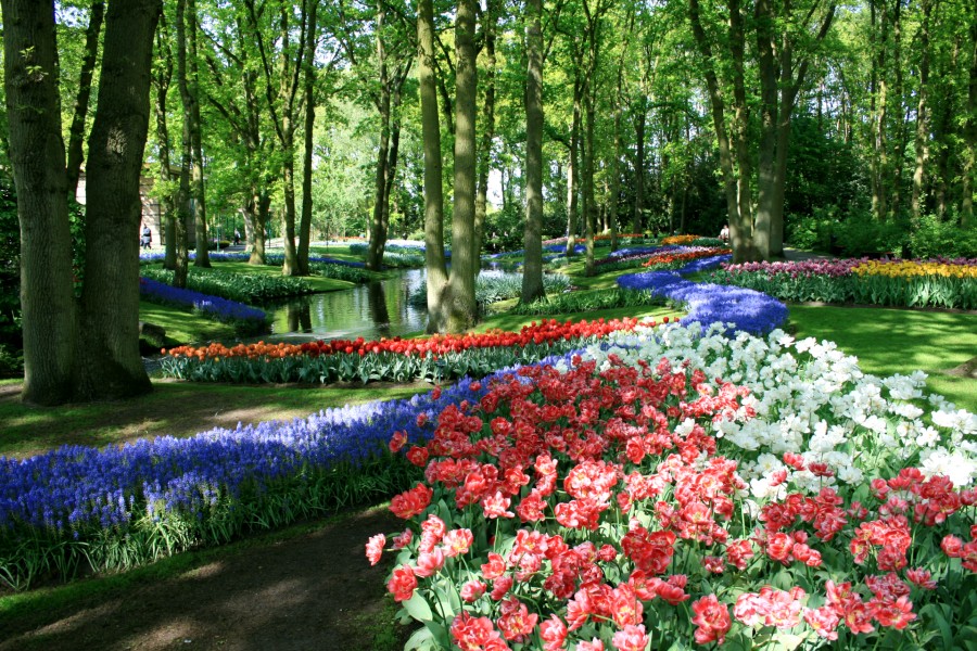 keukenhof helicopter tour