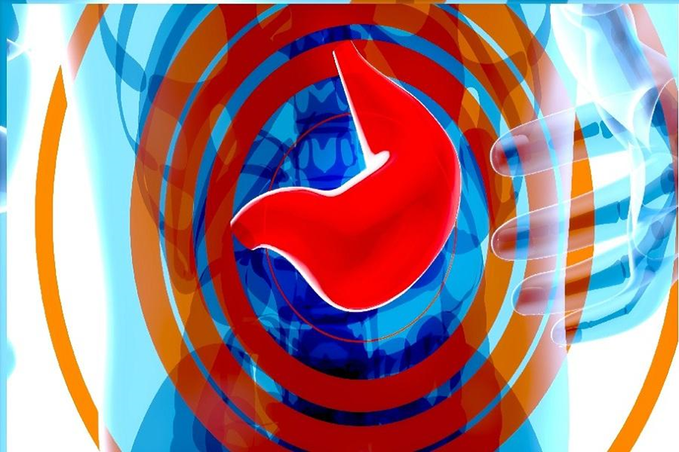 How Enzymes Ease Your Digestive Performance