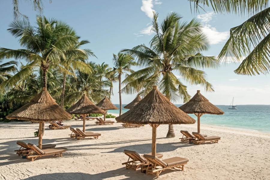 Enhancing Your Experience With Travel Software
