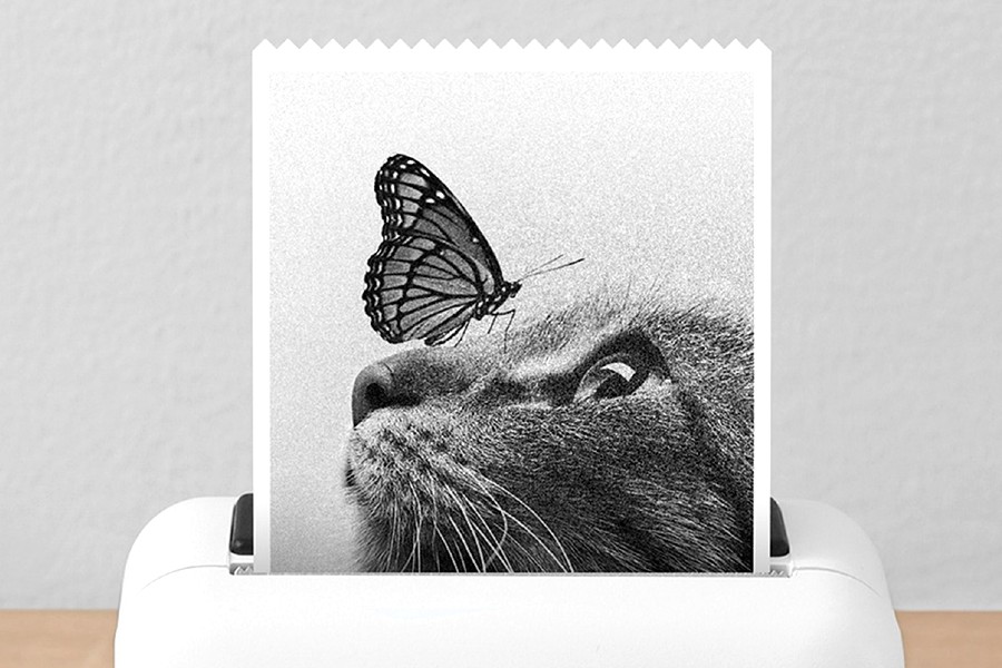 Customized Printing Services Explained Key Facts You Should Know