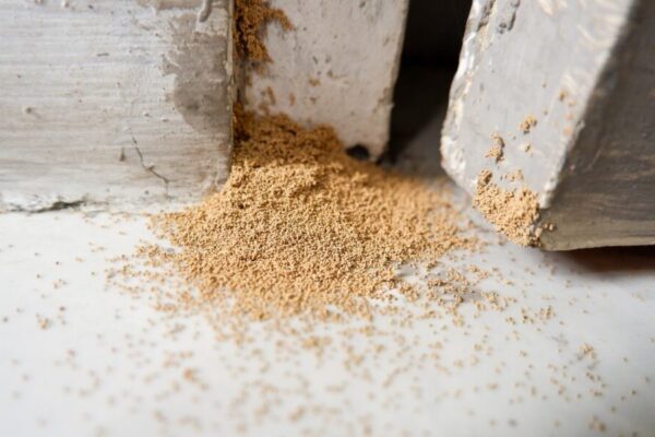 Effective Pest And Termite Control: Protecting Your Home And Health